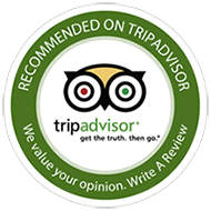 Free Tour Valencia en Tripadvisor