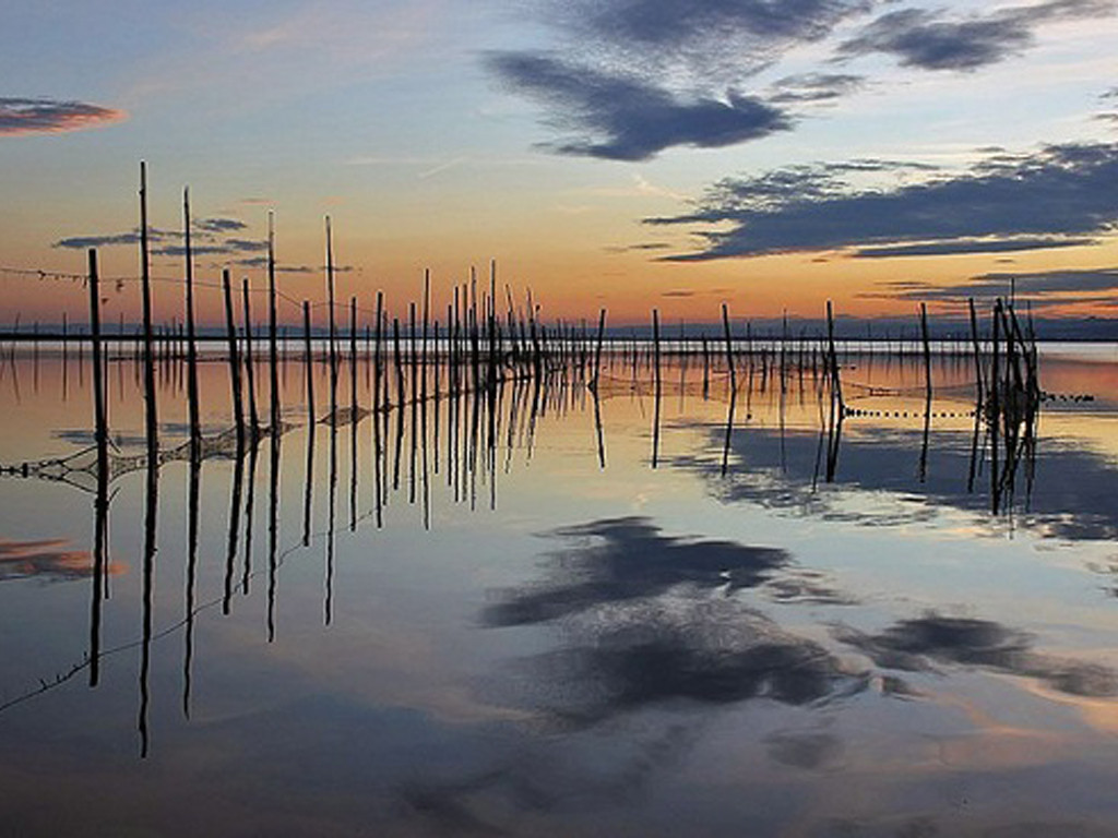 free tour albufera